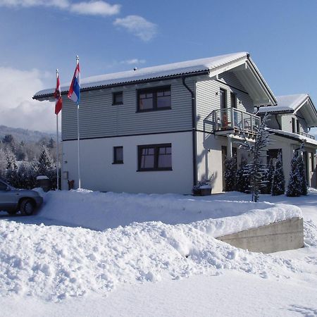 Apartments Waldemar Saalfelden Zewnętrze zdjęcie